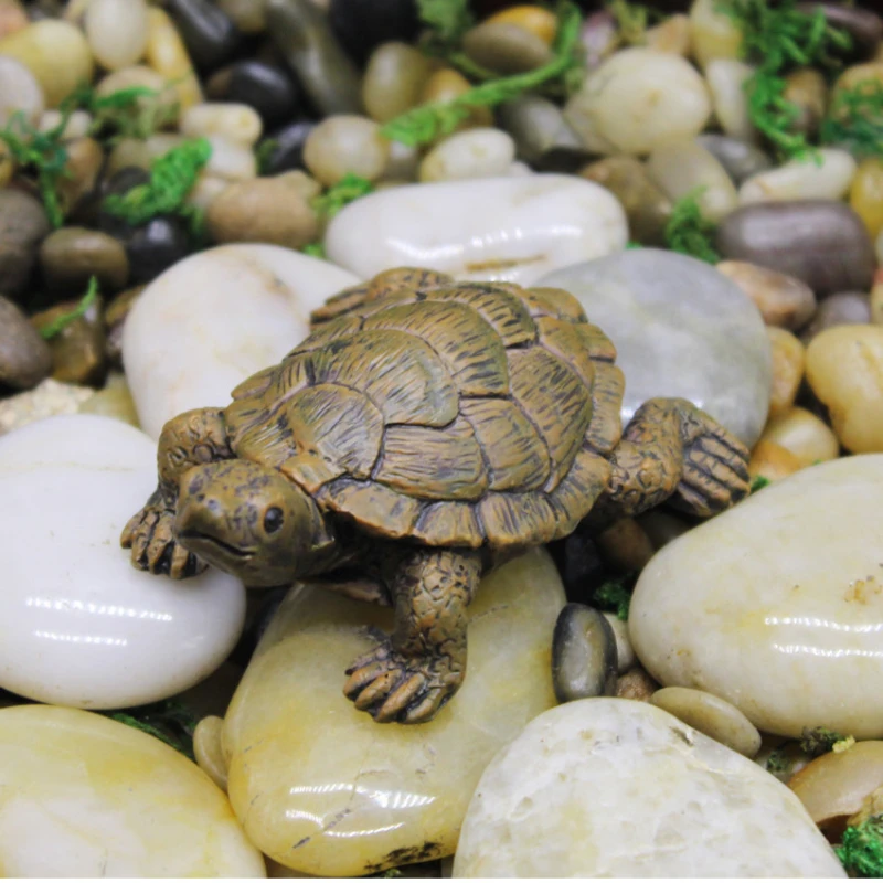Charming Sea Turtle รูปปั้นเรซ - Resin Art Beach บทวิจารณ์และราคา
